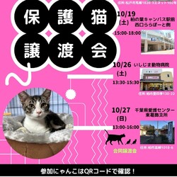 柏の葉キャンパス♡保護猫譲渡会♡NPO法人にゃん2 サムネイル1
