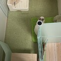 うさぎの里親募集面倒をちゃんと見てくれる方で