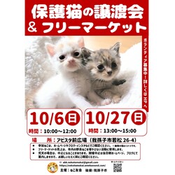 保護猫譲渡会　in我孫子
