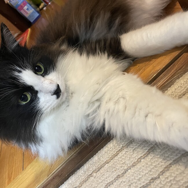 もずくっ！のカバー写真