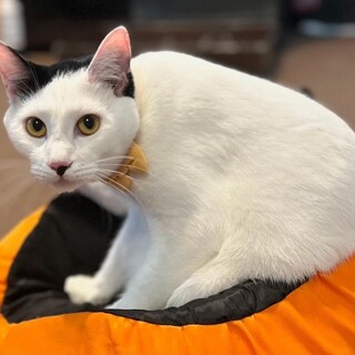 個性的な前髪白黒男子⭐️レイ