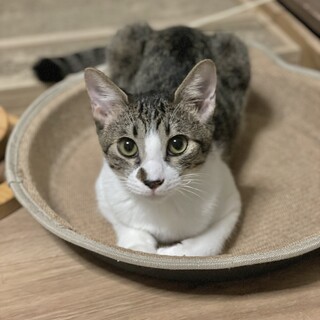 甘えん坊で不思議ちゃんな５ヶ月男の子