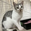 遊ぶの大好き無邪気で甘えん坊なそらくん