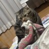 かかかれん