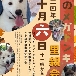 メガドンキ里親会 サムネイル1