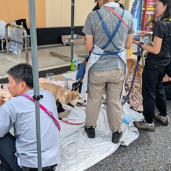 メガドンキ里親会 サムネイル3