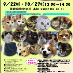 犬猫の譲渡会を開催します！