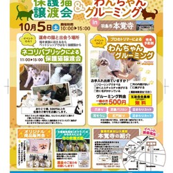 子猫・保護猫譲渡会を開催！僕たちは家族になる準備はできている！＠本覚寺（羽島）