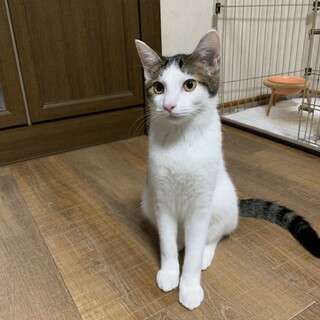 ちょっぴり