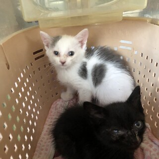 めちゃくちゃ可愛いです♡2ヶ月の女の子