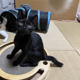 6兄妹♡川口くん