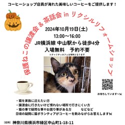 保護ねこの譲渡会＆茶話会 in 横浜市緑区