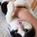 てへぺろ顔がかわいい「みどちゃん」