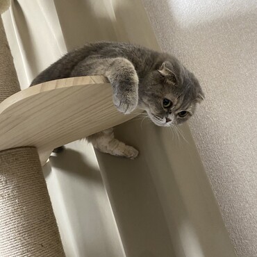 の写真