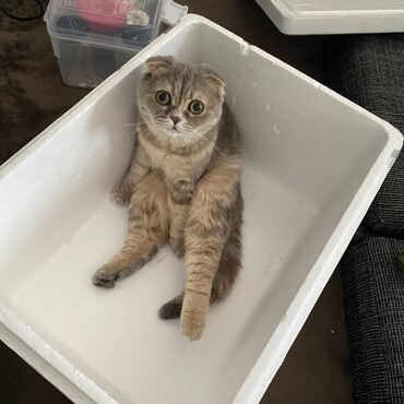 の写真