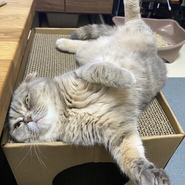 の写真