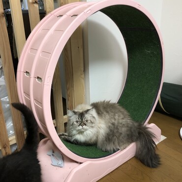 の写真