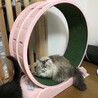 の写真