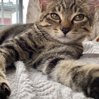 4ヶ月半の男の子さむくん