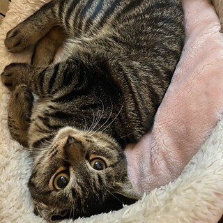 2/2千葉ෆ⃛食いしん坊ですෆ⃛なおくん