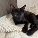 遊ぶの大好きお転婆すいかくん