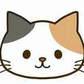 大人しく優しい猫です
