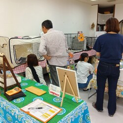 保護猫のお見合い会 サムネイル3