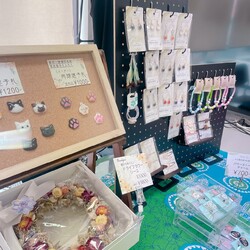 保護猫のお見合い会 サムネイル3