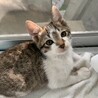 生後１ヶ月の元気な男の子 サムネイル6