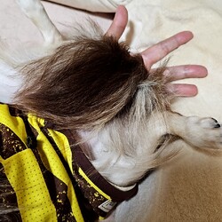 「サイズ感が違いすぎる笑」サムネイル3