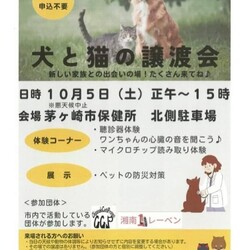 犬と猫の譲渡会