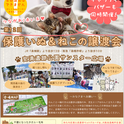 保護犬猫うさぎ譲渡会