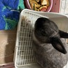 の写真