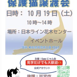 保護猫譲渡会 in 花木センター