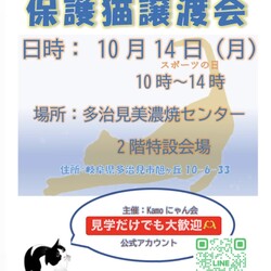 保護猫譲渡会 in たじみ陶器まつり