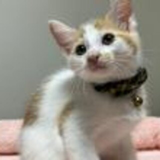 マイペースな兄弟・奏良(そら)くん