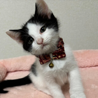 マイペースな兄弟・良勇(らお)くん