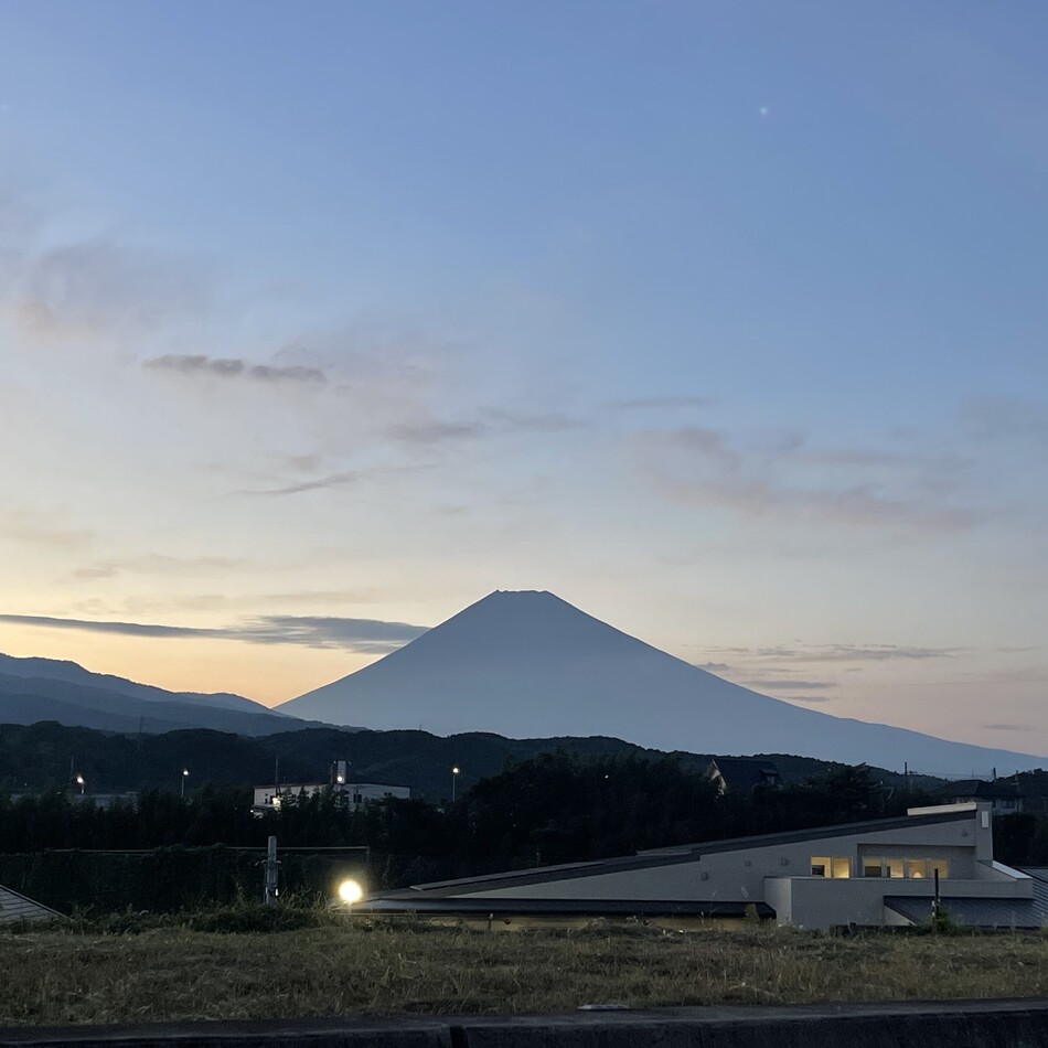 アントン　Antonのカバー写真