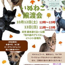 いぬねこ譲渡会