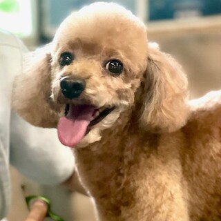 24-W198　可愛過ぎる姫です！！