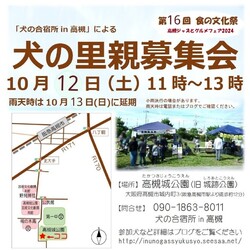 犬と猫の里親募集会 in 高槻食の文化祭