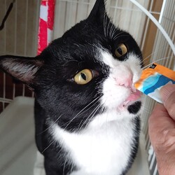 「トライアル開始」サムネイル2