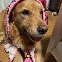 ライリー