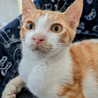 〝ひなた君〟です♪