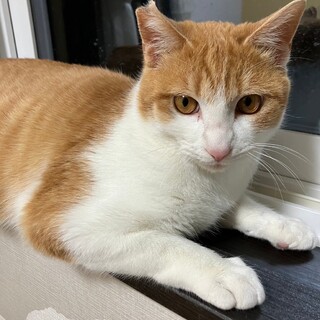 〝ちー君〟です♪