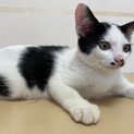 仲良し兄弟☆ロン君