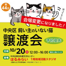 (予約優先)中央区飼い主のいない猫譲渡会