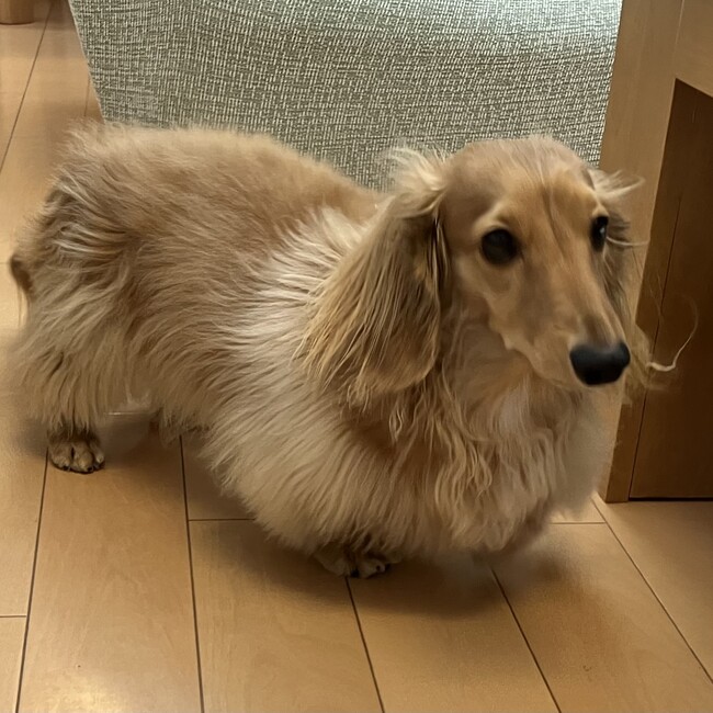 takaい空のカバー写真