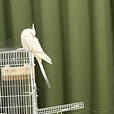 の写真