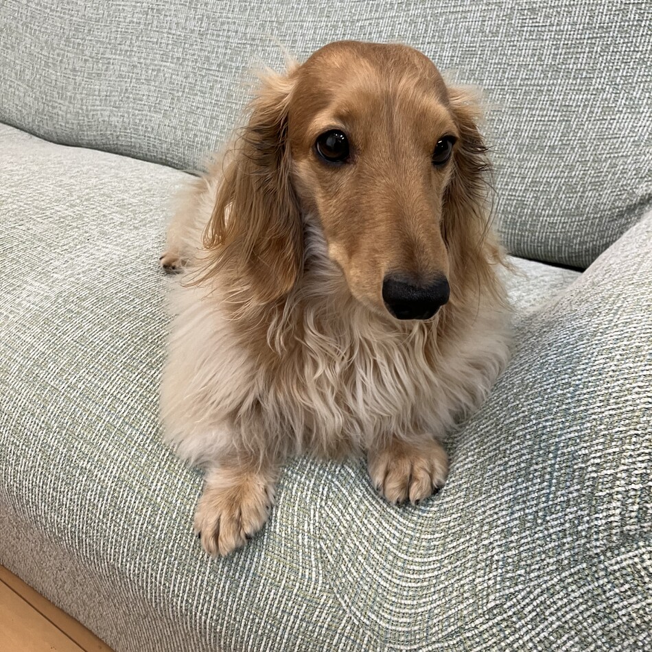 そらのカバー写真